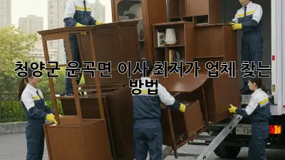 청양군 운곡면 이사, 최저가 업체 찾는 방법!